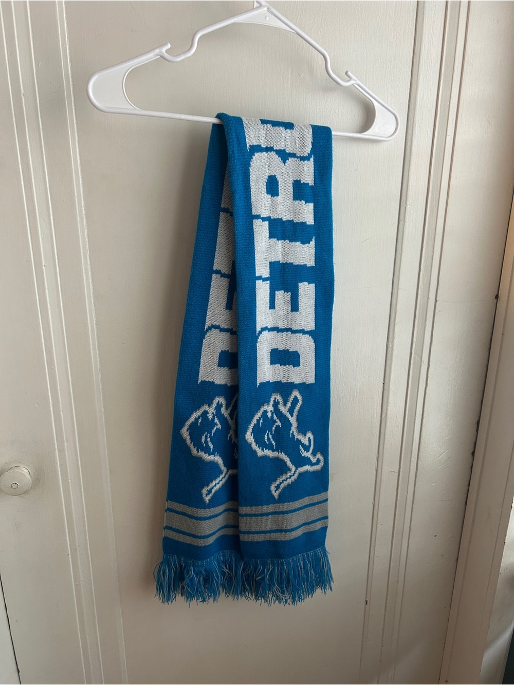 NFL Detroit Blue and White Knit Fringe Scarf